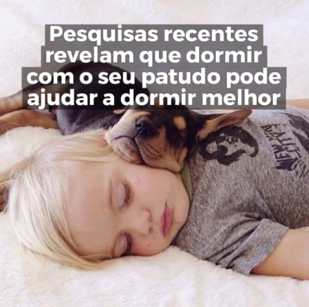 Dormir com os patudos